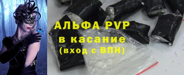 сатива Аркадак