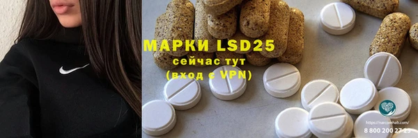 сатива Аркадак