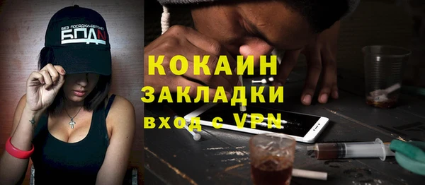 сатива Аркадак