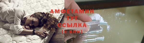 сатива Аркадак