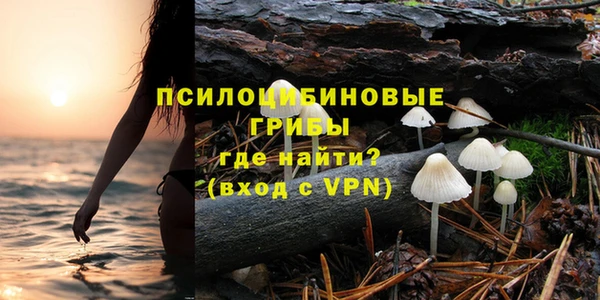 сатива Аркадак