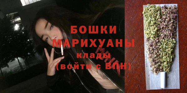 сатива Аркадак