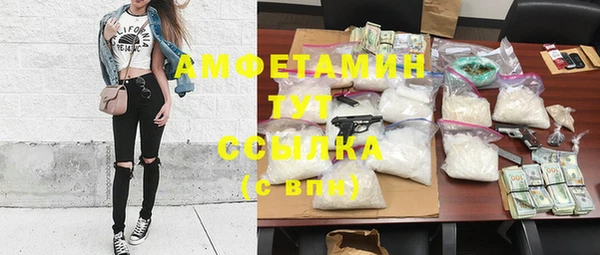 сатива Аркадак