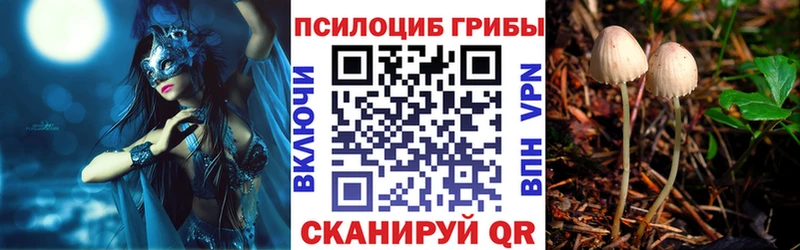 Псилоцибиновые грибы Cubensis  Бакал 
